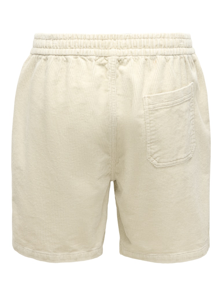 22031568 Tel Corduroy Shorts C