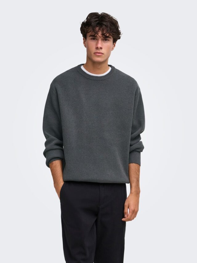 22039789 Rodger Crew Neck Knit