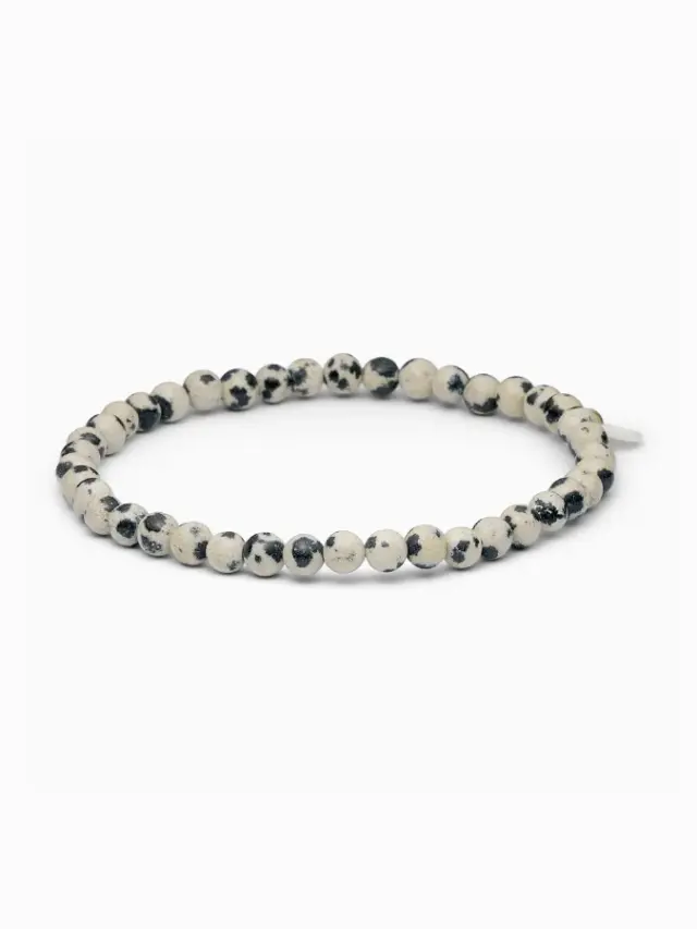 Petite Dalmatin Jasper Stretch